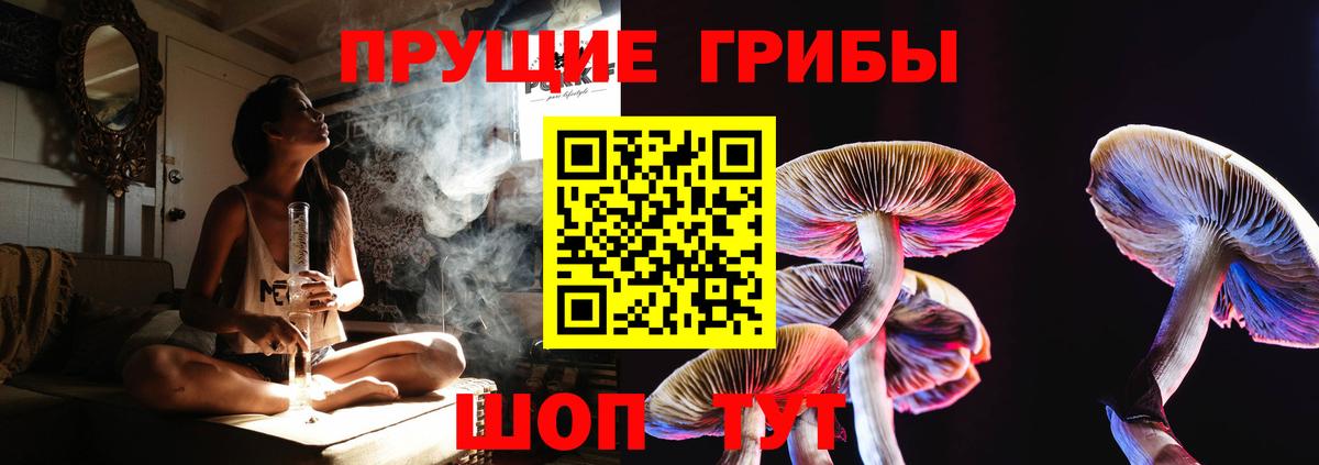 Коряжма  Галлюциногенные грибы ЛСД  Вход с VPN 