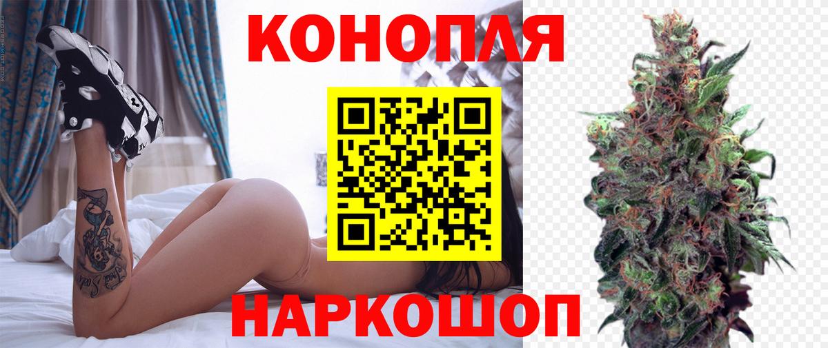 Бошки Шишки план Коряжма